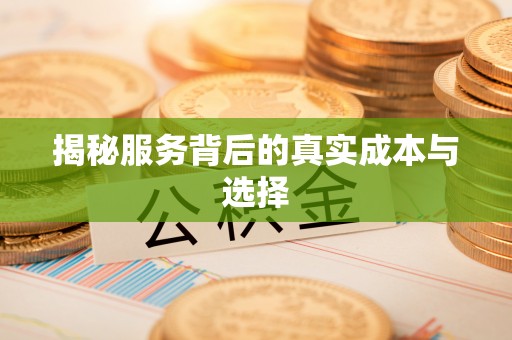 达拉特旗揭秘服务背后的真实成本与选择