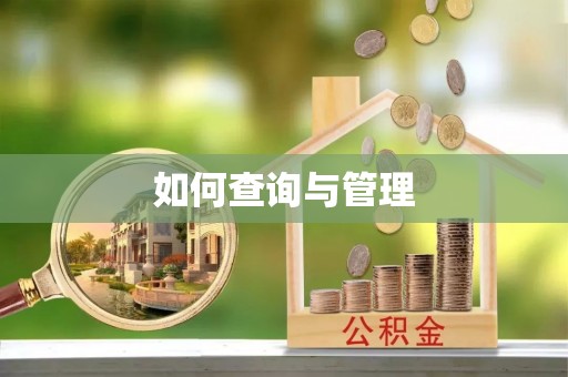 达拉特旗如何查询与管理