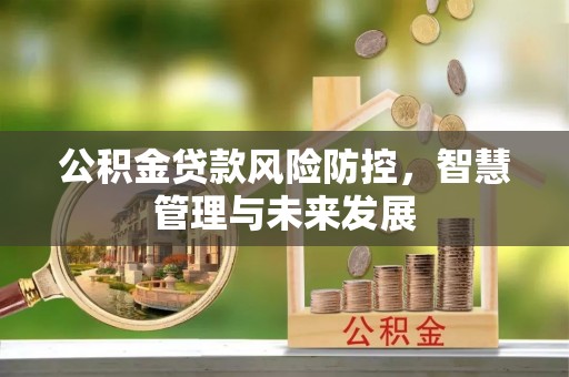 达拉特旗公积金贷款风险防控，智慧管理与未来发展