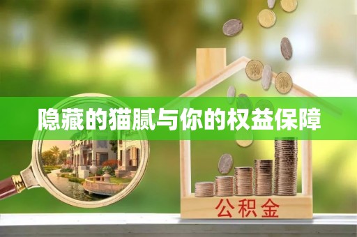 达拉特旗隐藏的猫腻与你的权益保障
