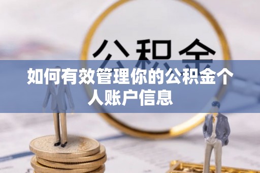 达拉特旗如何有效管理你的公积金个人账户信息