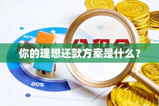 达拉特旗你的理想还款方案是什么？