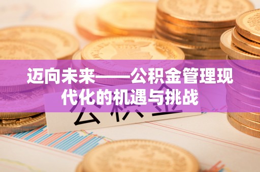 达拉特旗迈向未来——公积金管理现代化的机遇与挑战