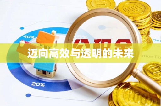 达拉特旗迈向高效与透明的未来