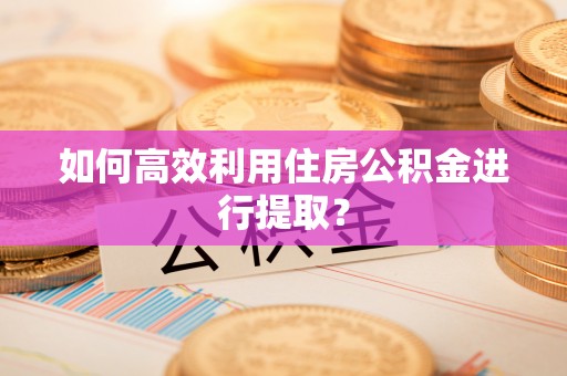达拉特旗如何高效利用住房公积金进行提取？
