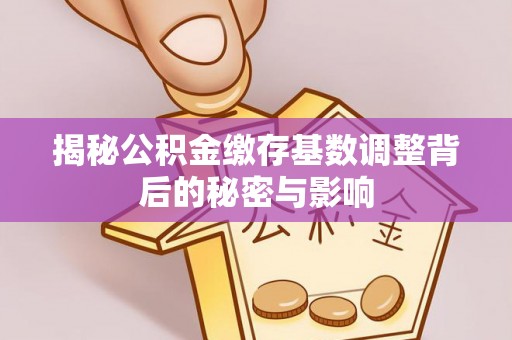 达拉特旗揭秘公积金缴存基数调整背后的秘密与影响