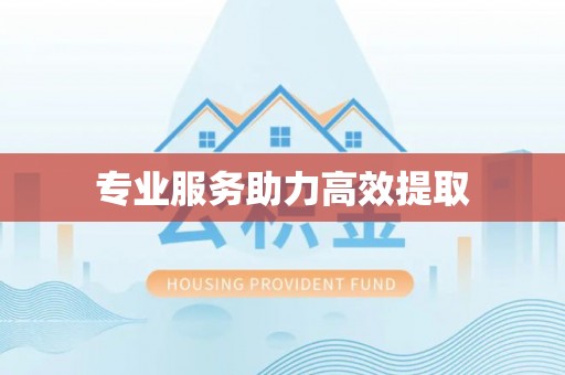 达拉特旗专业服务助力高效提取