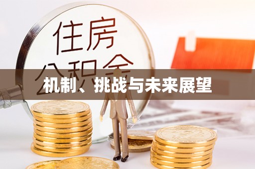 达拉特旗机制、挑战与未来展望